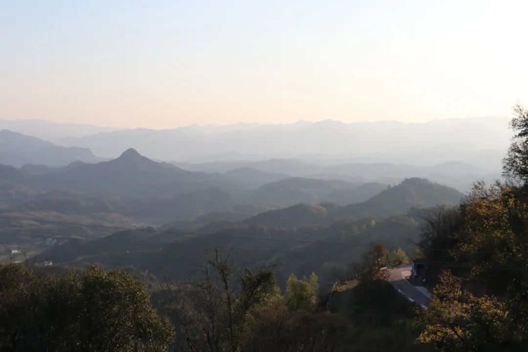 IMG_6513.JPG